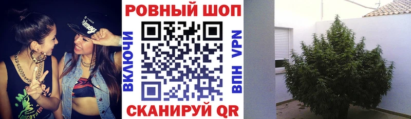 Наркошоп Бутурлиновка ГАШИШ  Каннабис  КОКАИН  Амфетамин  Меф мяу мяу 