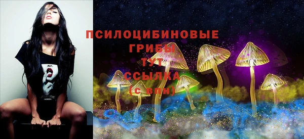 jwh Богданович