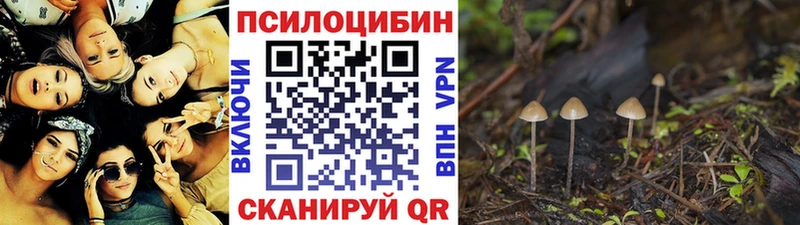 hydra зеркало  дарк нет состав  Галлюциногенные грибы мухоморы  Бутурлиновка 